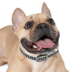 Dog Collar- Black Lace