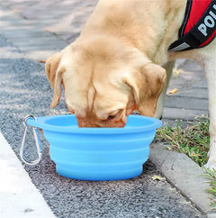 Collapsible Dog Bowl- 2 sizes