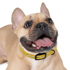 Dog Collar- Cherry Blossoms