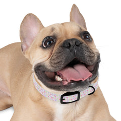 Whimsical Leaf Dog Collar - Colorful Pet Accessory for Every Occasion