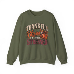 "Thankful, Blessed & a Little Stressed" Fall Pumpkin Sweatshirt
