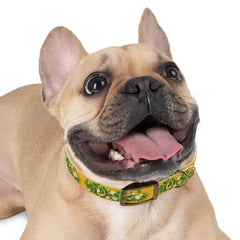 Gold Dog Collar - St Patrick's Day Horseshoe & Coin Design