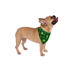 St. Patrick's Day Pet Bandana - Clover on Plaid