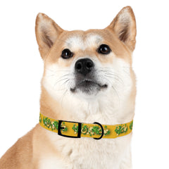 Gold Dog Collar - St Patrick's Day Horseshoe & Coin Design