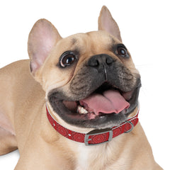 Dog Collar- Red Bandana