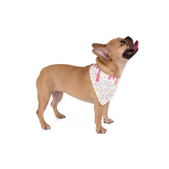 Pet Bandana - Melting Ice Cream & Sprinkles