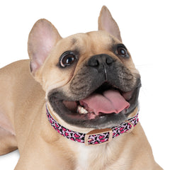 Dog Collar- Pink Leopard Print Hearts