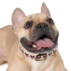 Dog Collar- Rustic Hearts