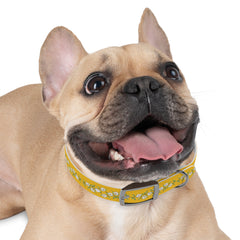 Dog Collar- Cherry Blossoms