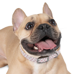 Dog Collar- Pink Bows