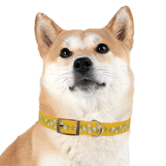 Dog Collar- Cherry Blossoms
