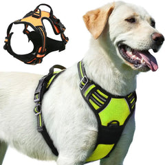 Dog Harness with Handle