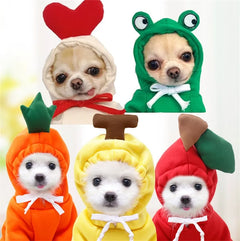 Warm Dog Winter Clothes - So Adorable