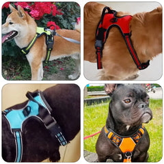 Dog Harness with Handle