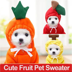 Warm Dog Winter Clothes - So Adorable