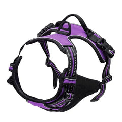 Dog Harness with Handle